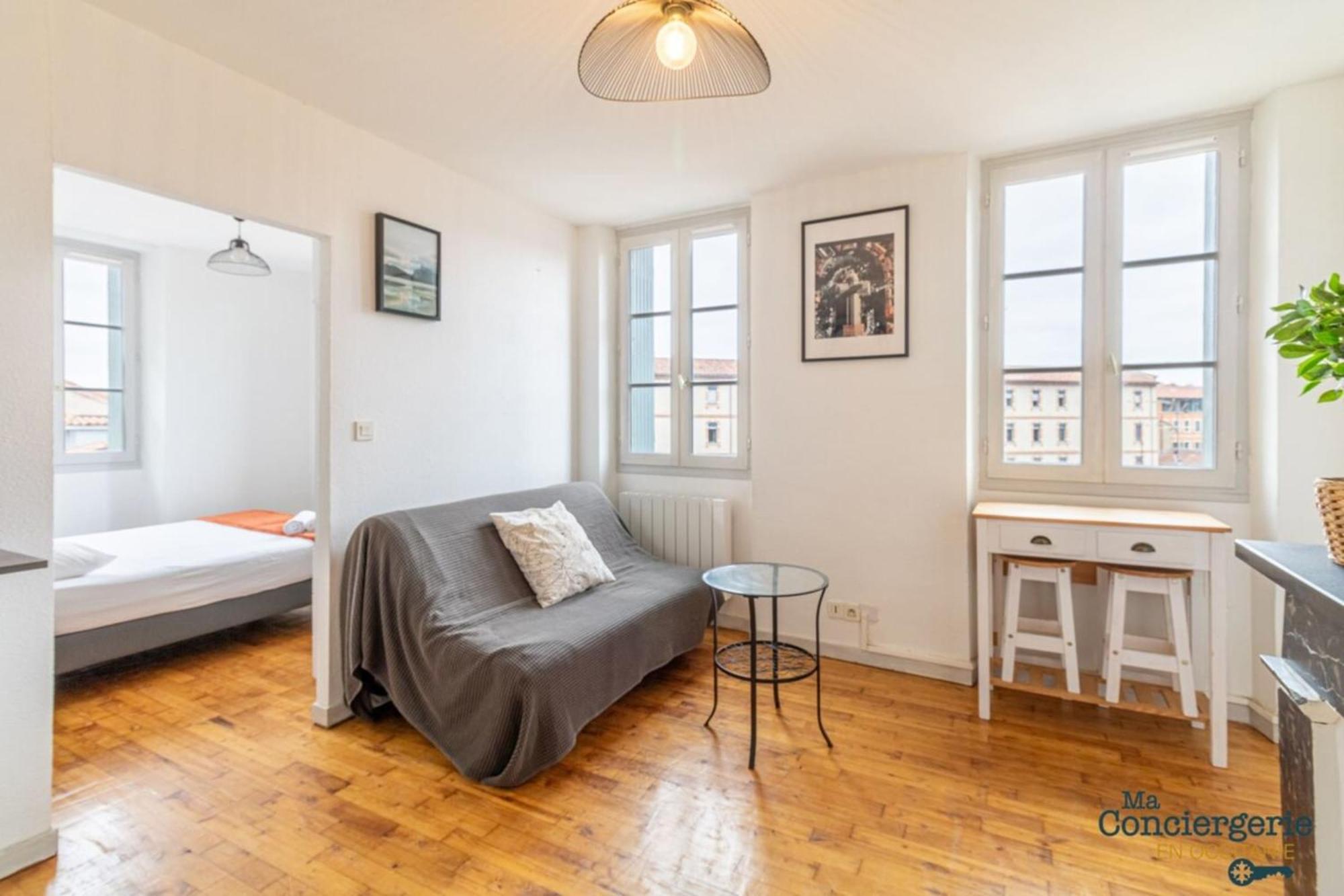 Parga 41 - 500 Metres Du Capitole - Hypercentre Tlse Apartment ตูลูส ภายนอก รูปภาพ