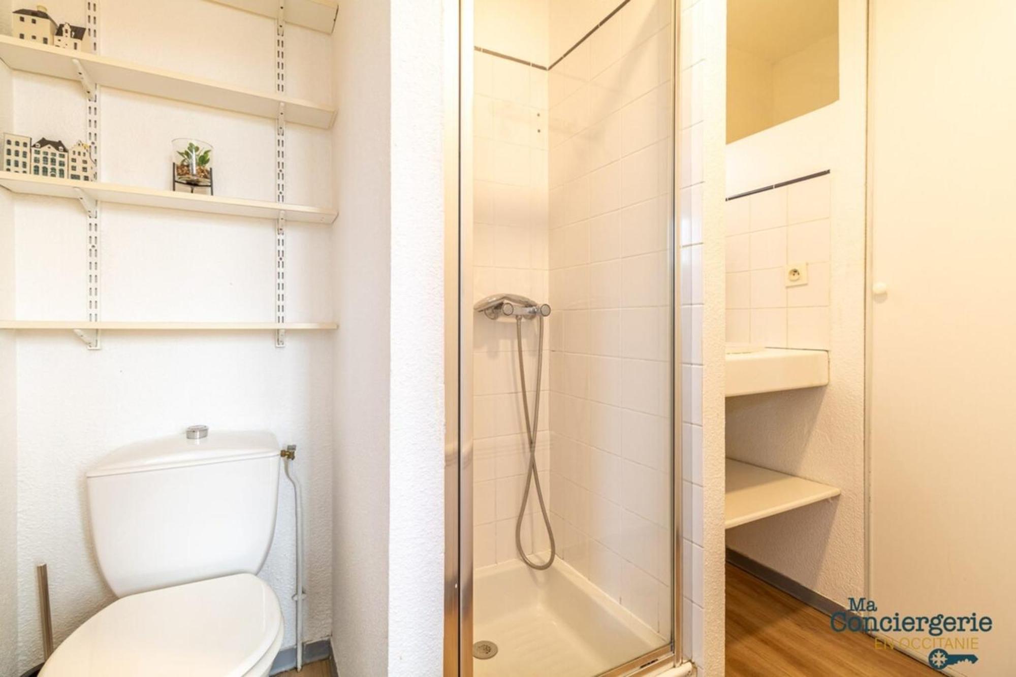 Parga 41 - 500 Metres Du Capitole - Hypercentre Tlse Apartment ตูลูส ภายนอก รูปภาพ