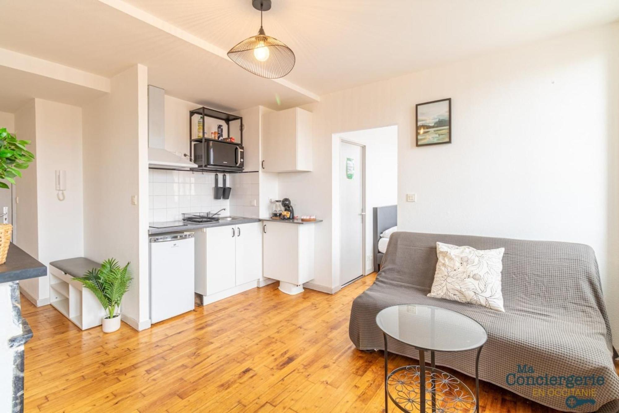 Parga 41 - 500 Metres Du Capitole - Hypercentre Tlse Apartment ตูลูส ภายนอก รูปภาพ